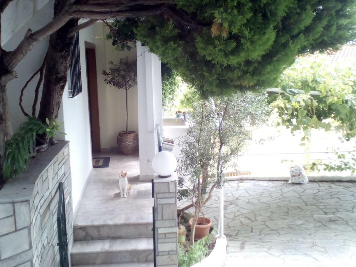 Kavala Apartment Bagian luar foto